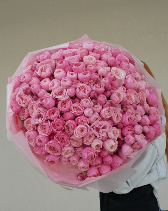 silva pink roses