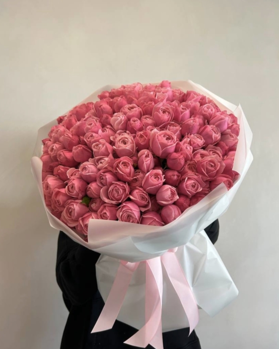 silva pink roses