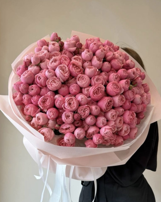silva pink roses