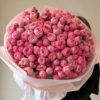 silva pink roses
