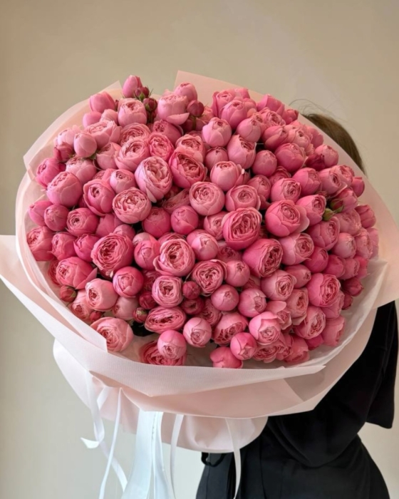 silva pink roses