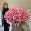 silva pink roses