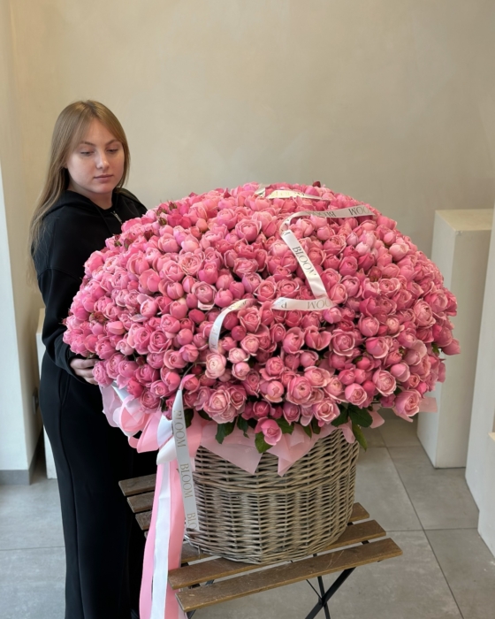 silva pink roses