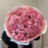 silva pink roses