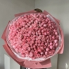 róża silva pink, 101 szt