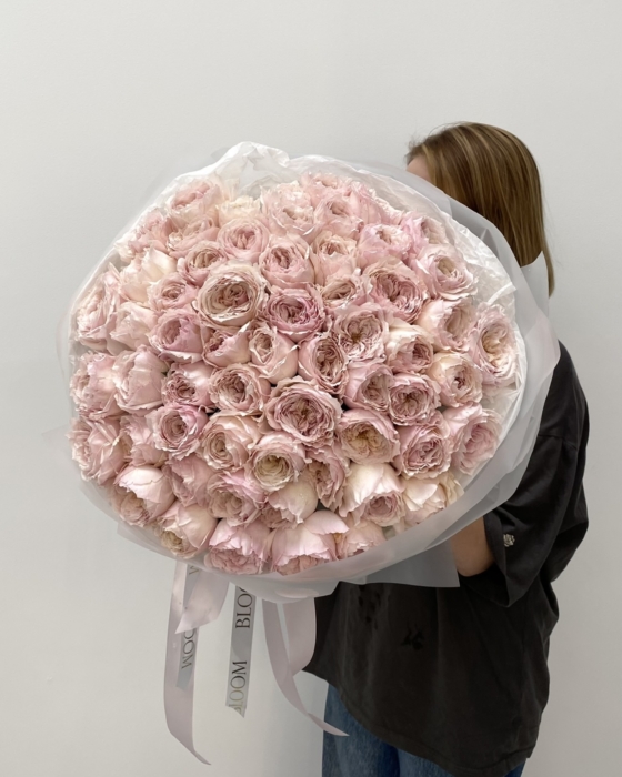 peony roses