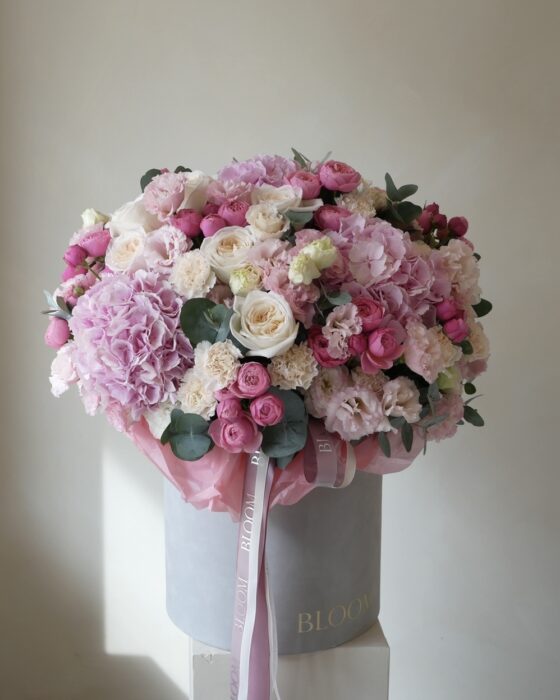 dream flowerbox king