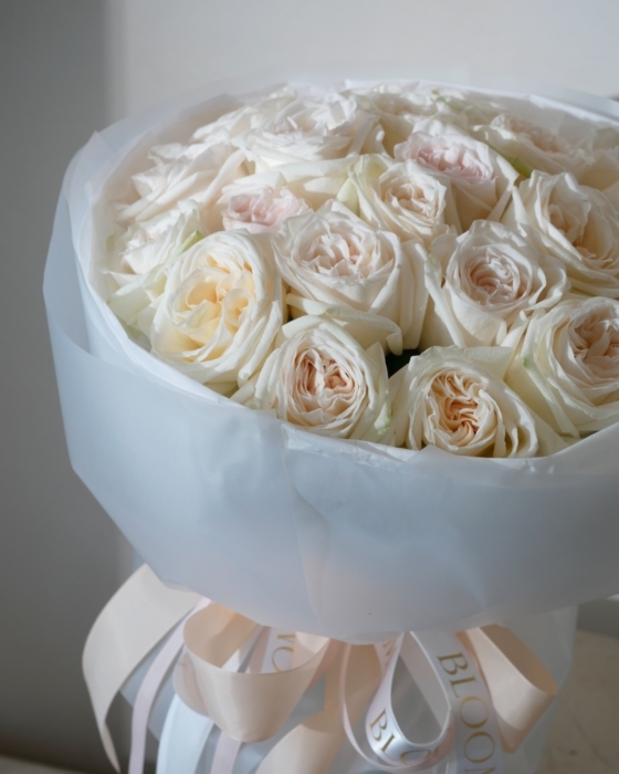 white ohara roses
