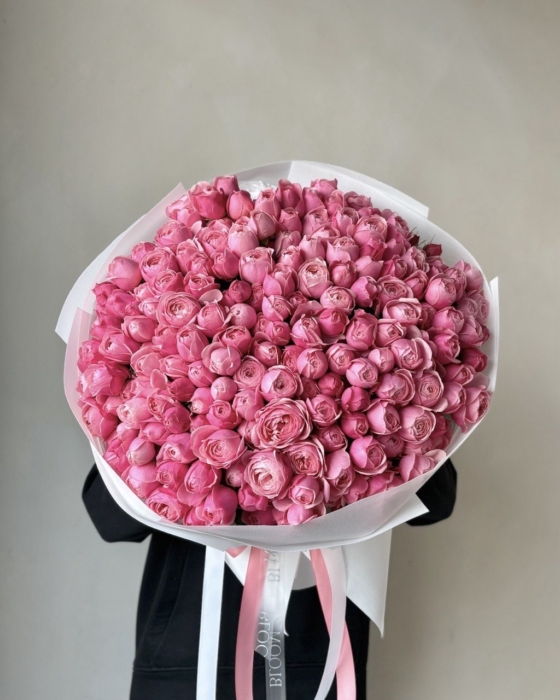 Róża Silva Pink 51