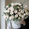 flowerbox spray roses