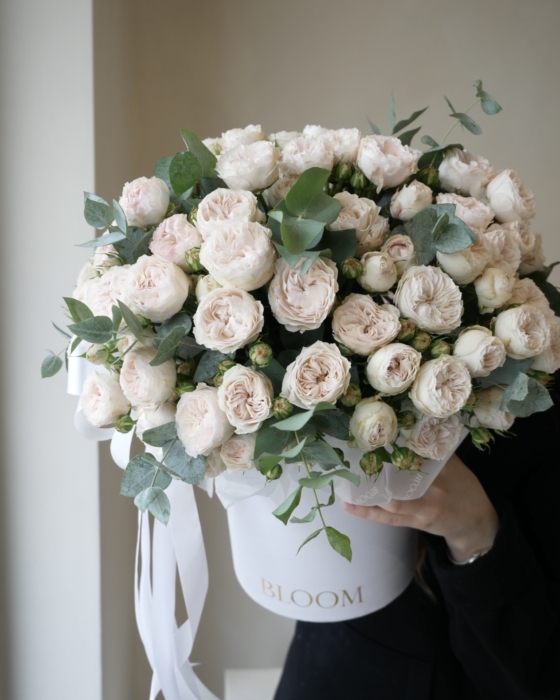 flowerbox spray roses