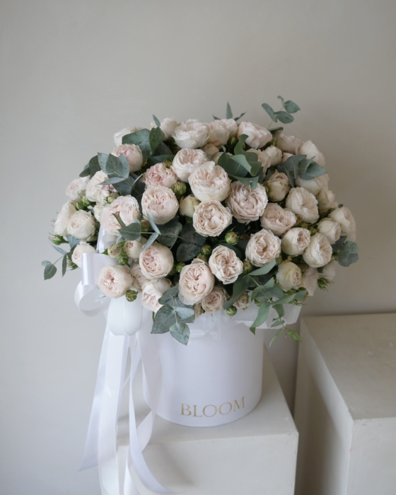 flowerbox spray roses