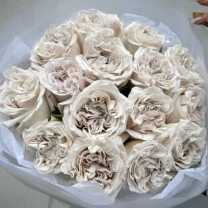 Westminster Abbey roses