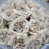 Westminster Abbey roses