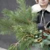 stroik bożonarodzeniowy Christmas