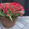 czerwone tulipany na walentynki