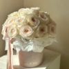 White Ochara box 21