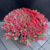 czerwone tulipany na walentynki