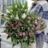 tulipan 8 marca tanio