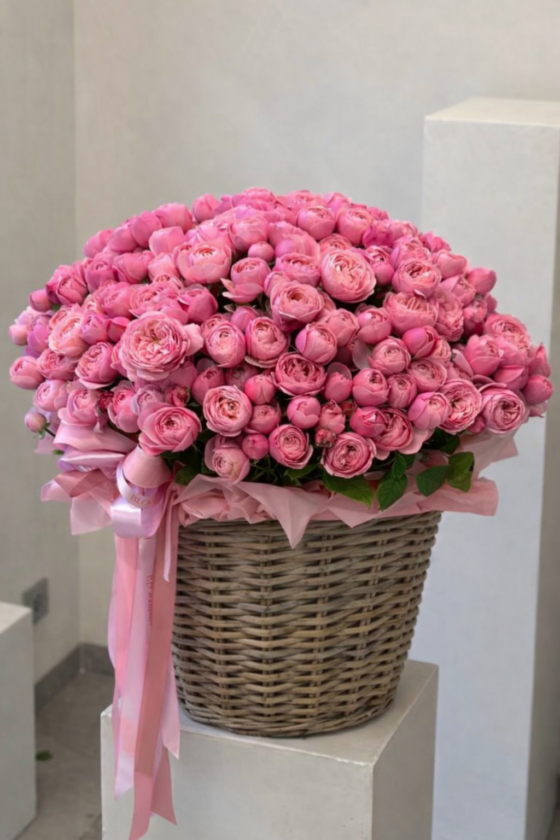 kosz silva pink 75