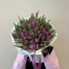 fioletowe tulipany