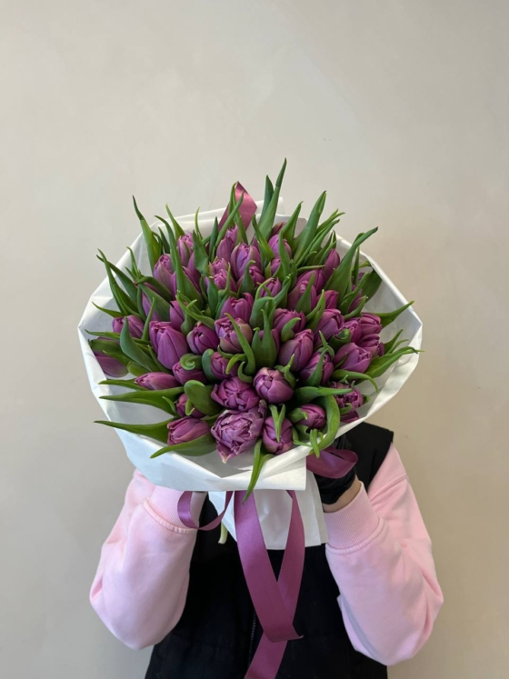 fioletowe tulipany