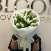 białe tulipany