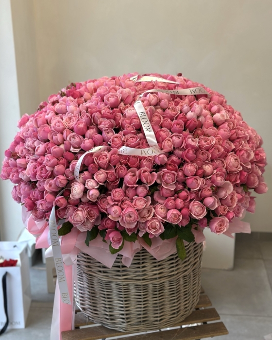 kosz silva pink 201