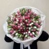 mix tulipanow 151