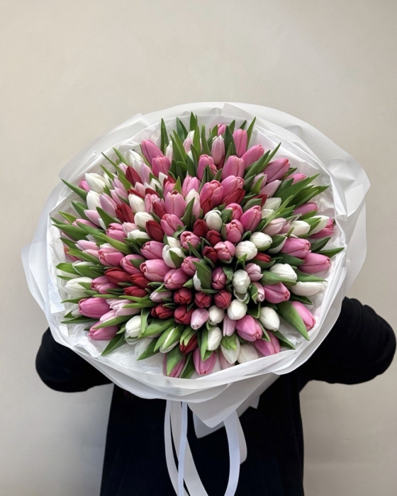 mix tulipanow 151