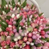 Mix tulipanów w koszu