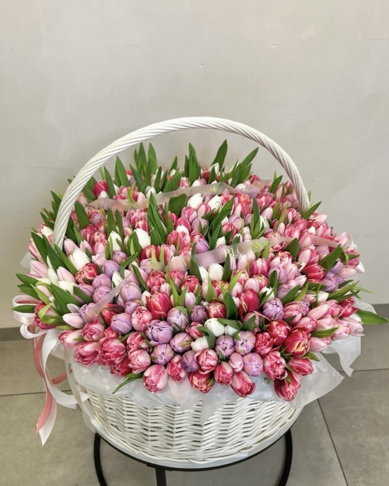 Mix tulipanów w koszu 501