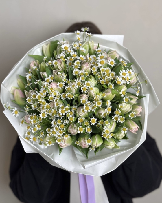 tulipan z rumiankiem