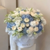baby blue grande