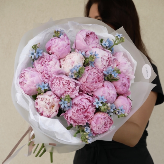 peony i oxy