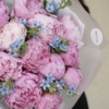 peony i oxy