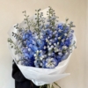 Delphinium 25