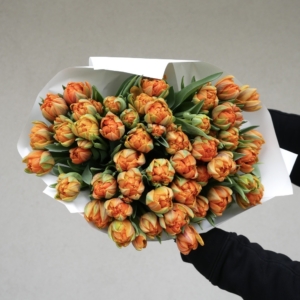 Orange tulips