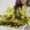 mimoza