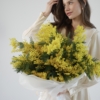 mimoza