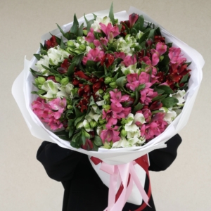 alstromeria