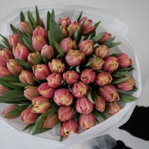 tulipany