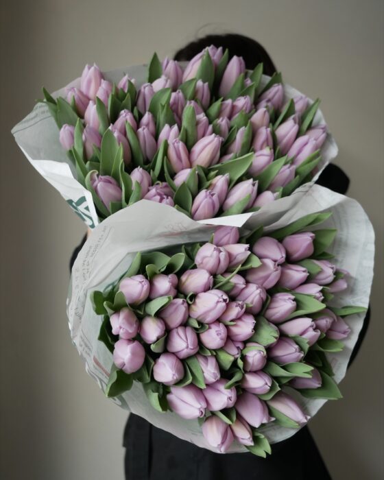 tulipany