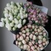tulipany