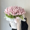 101 rozowy tulipan