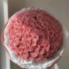 sophia loren roses