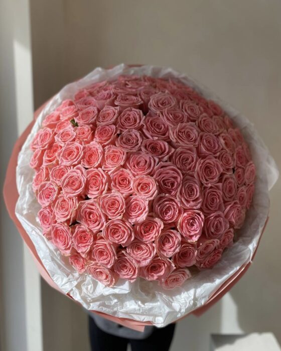 sophia loren roses