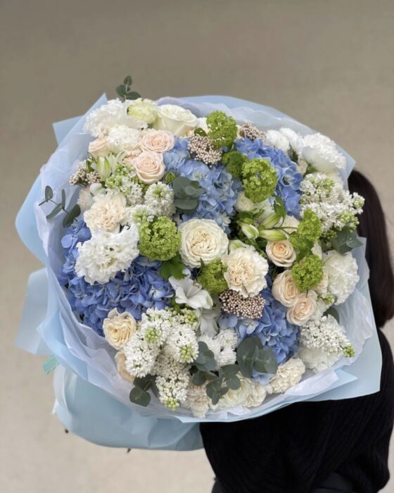 delicate blue king