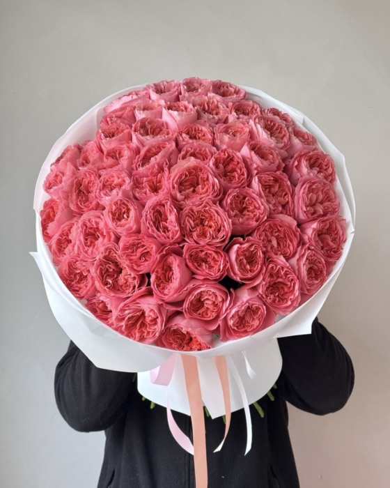 Pink expression 101