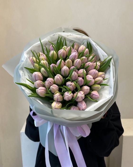 pene tulipany